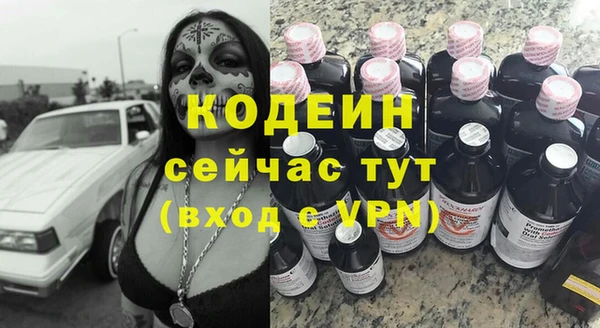 крисы Баксан