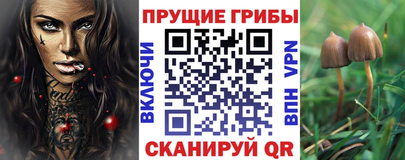 Галлюциногенные грибы Psilocybine cubensis Семилуки