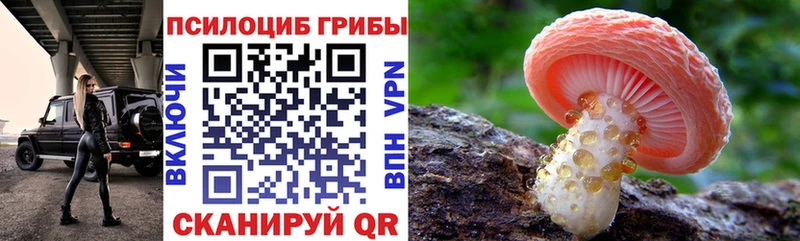 Псилоцибиновые грибы Cubensis Купить где Семилуки